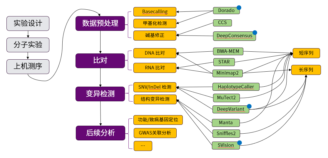 皇冠体育